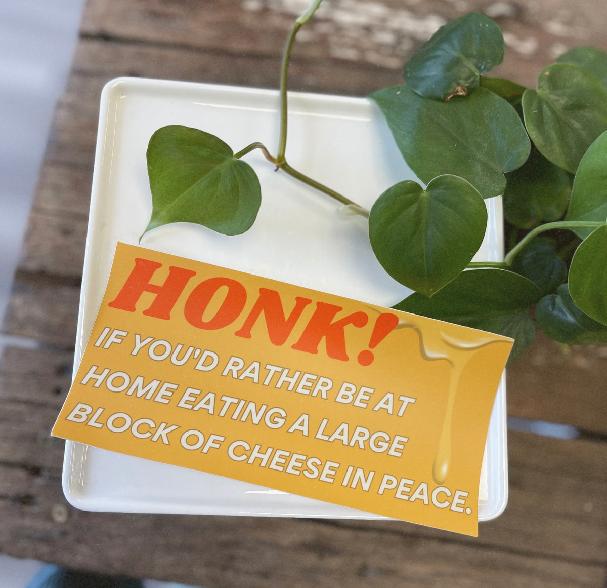 Eating Cheese Bumper Sticker