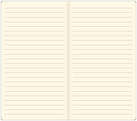 Nutmeg Voyager Notebook